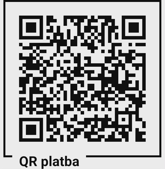 Ilustrativní foto - pro platbu přes QR kód budete přesměrováni.
